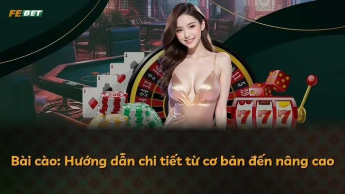 Bài cào: Hướng dẫn chi tiết từ cơ bản đến nâng cao