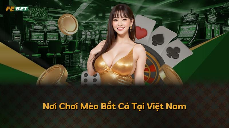 Nơi Chơi Mèo Bắt Cá Tại Việt Nam