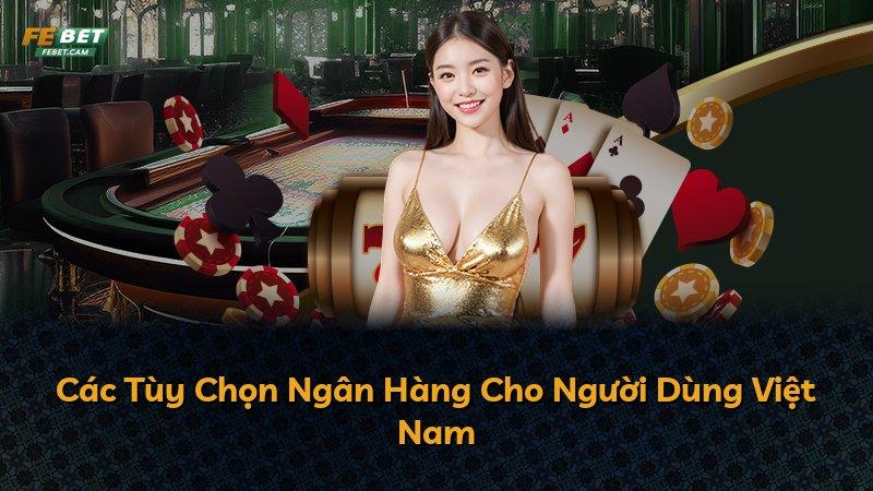 Các Tùy Chọn Ngân Hàng Cho Người Dùng Việt Nam