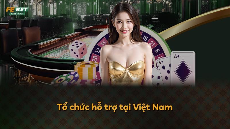 Tổ chức hỗ trợ tại Việt Nam